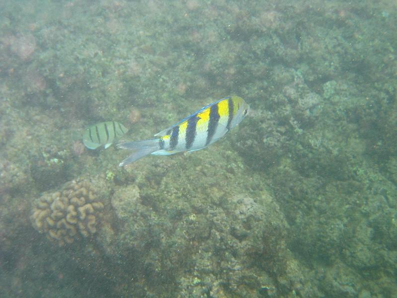 Picture 051